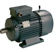 Bremsmotor als Drehstrommotor oder Einphasen-Asynchronmotor